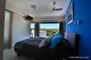 Representative hotel space: A bedroom with a bed, blue accent wall, and windows overlooking greenery.