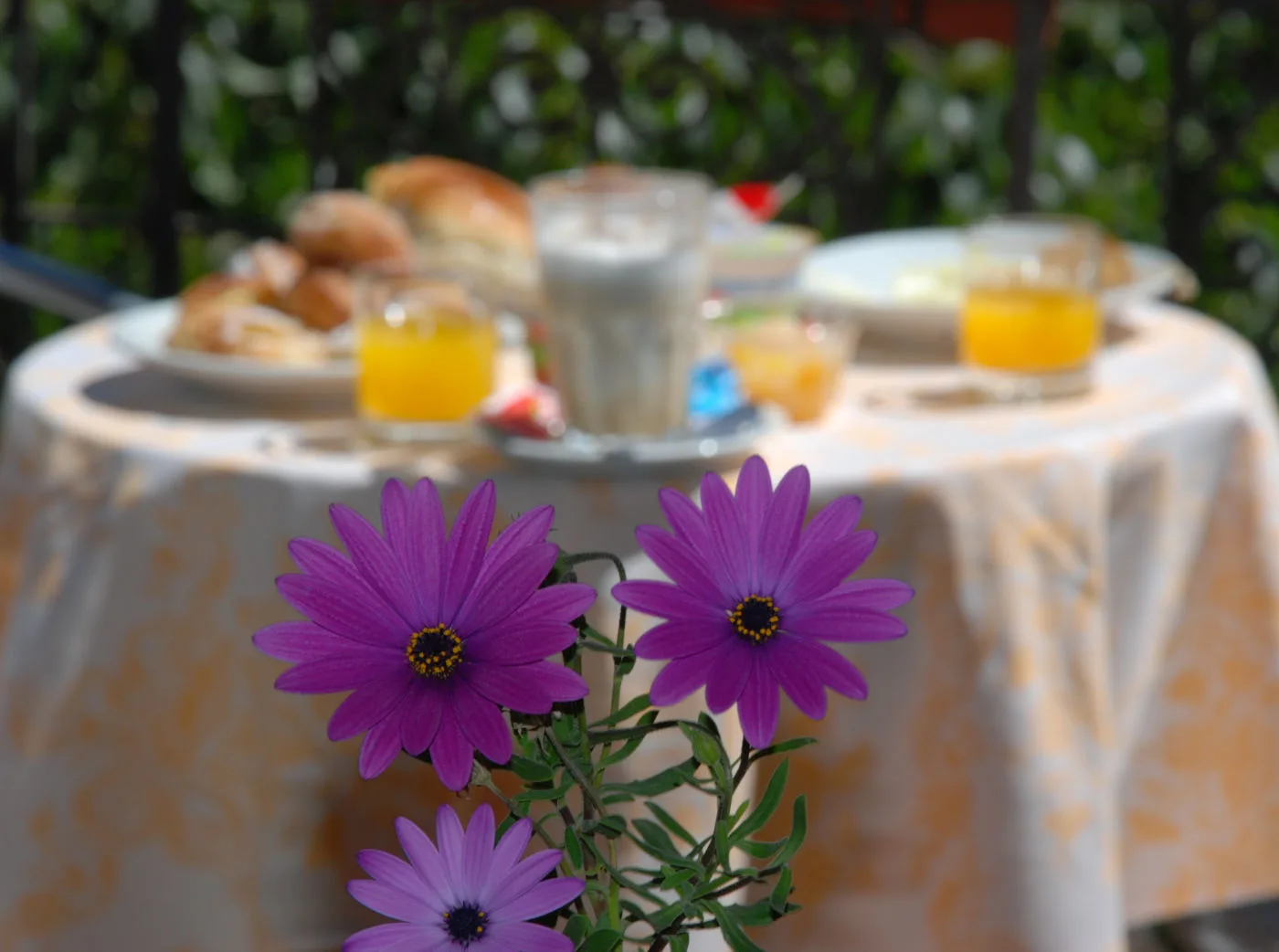 Representative hotel space: Purple flowers sit in front of a table set with breakfast food and drinks.