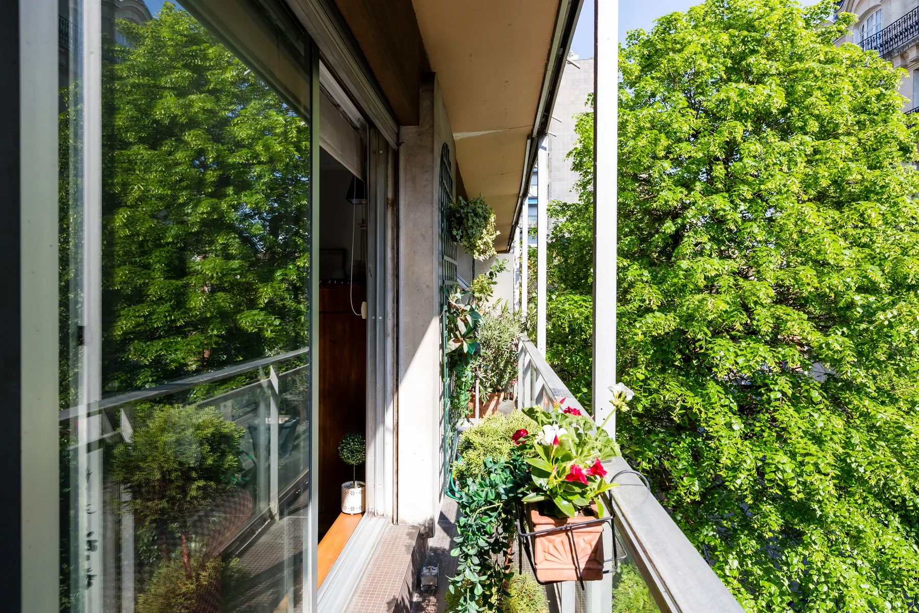 Un balcón con plantas en macetas da a árboles frondosos.