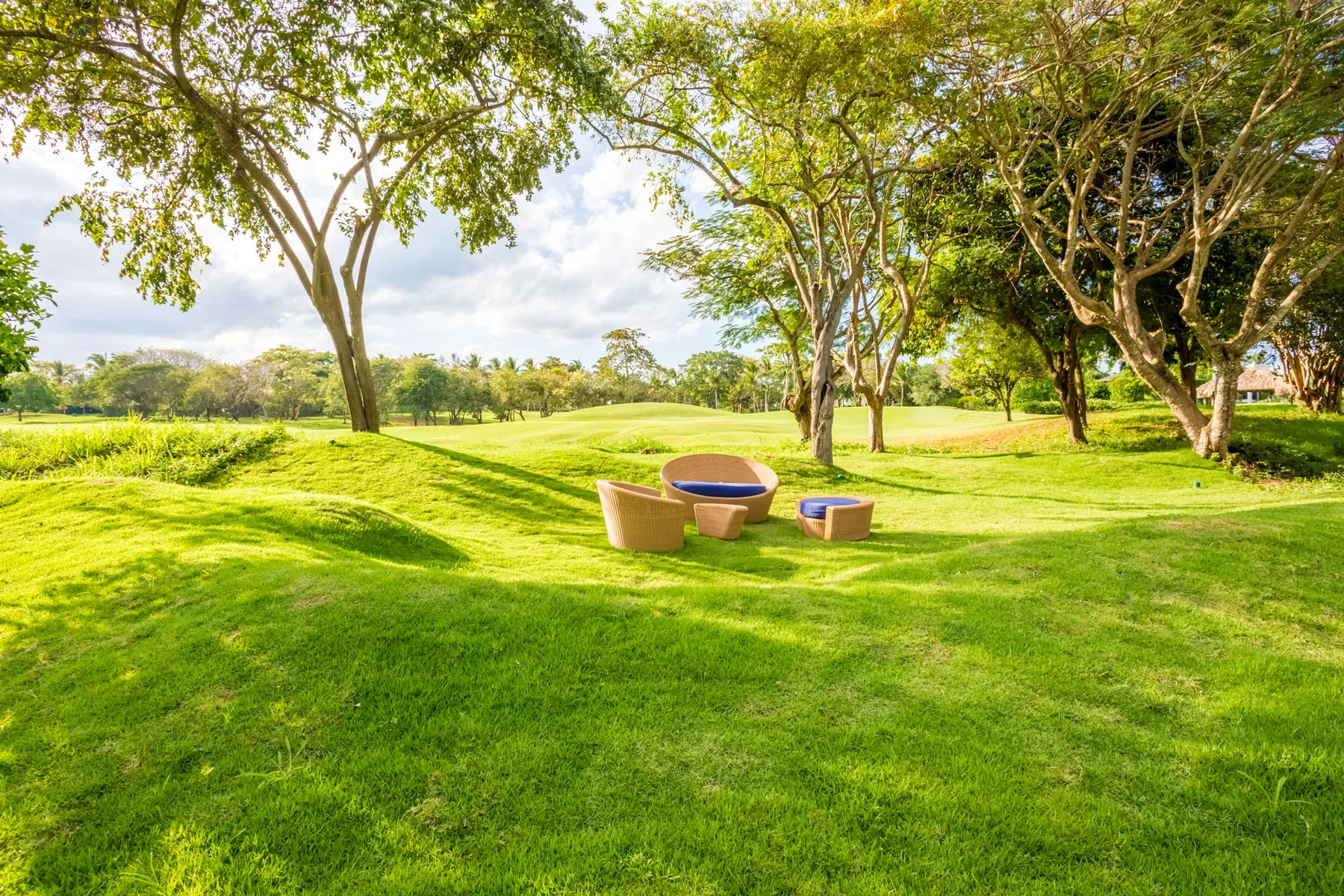A grassy garden with trees and a small outdoor seating area.