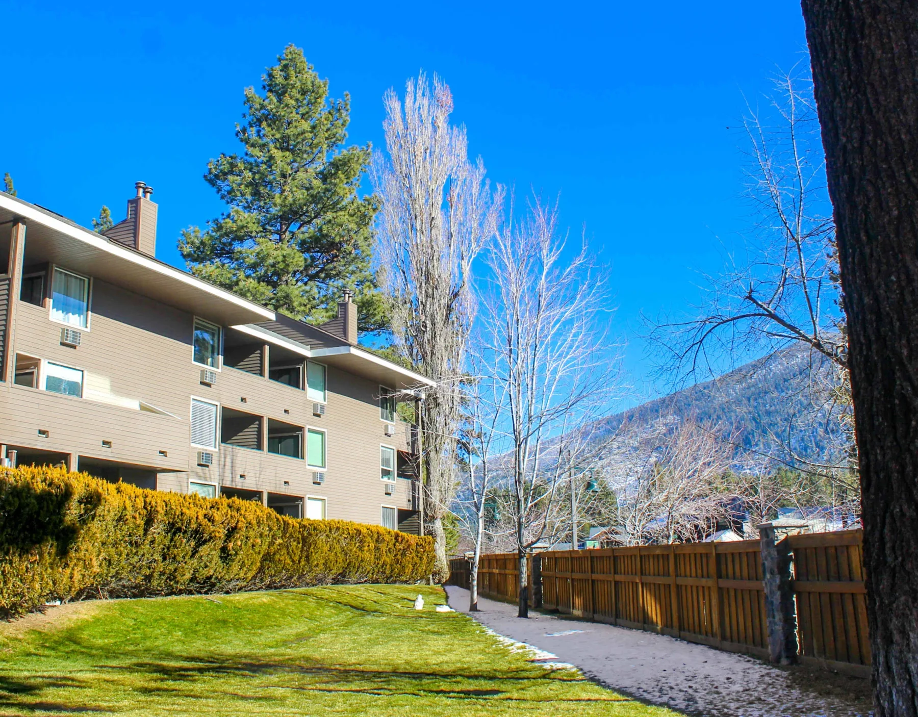 Shared amenity: A landscaped courtyard beside a multi-story building, with a wooden fence and mountains beyond.