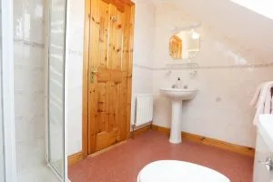 Espacio representativo del hotel: Un baño con una puerta de madera, lavabo y ducha con mampara de vidrio.