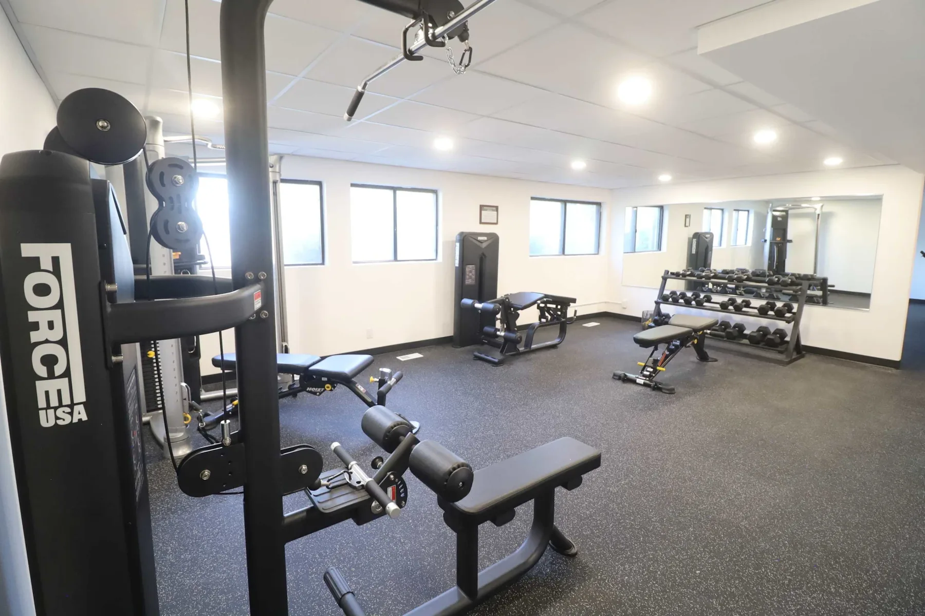 Zona común: Un gimnasio con máquinas de ejercicio, bancos y pesas.