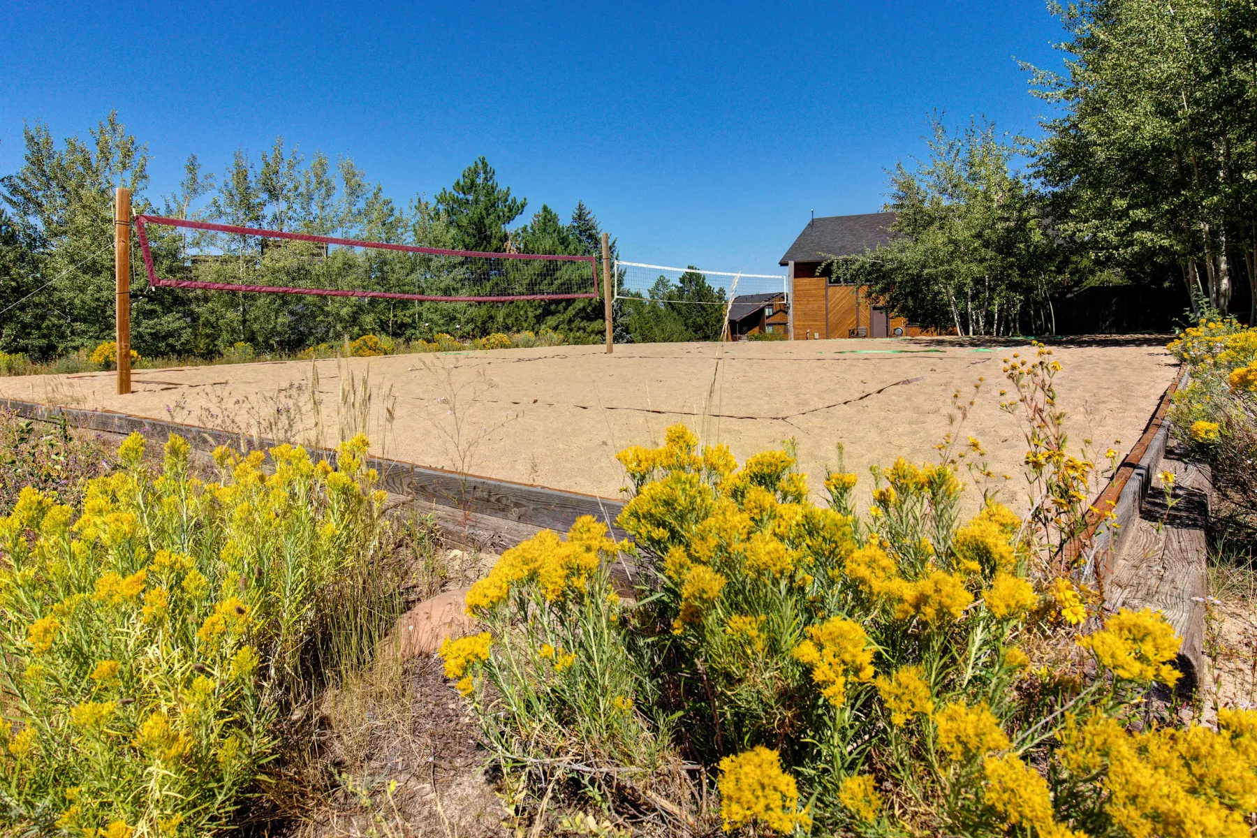 Zona común: Una cancha exterior de arena con una red y flores amarillas en el borde.