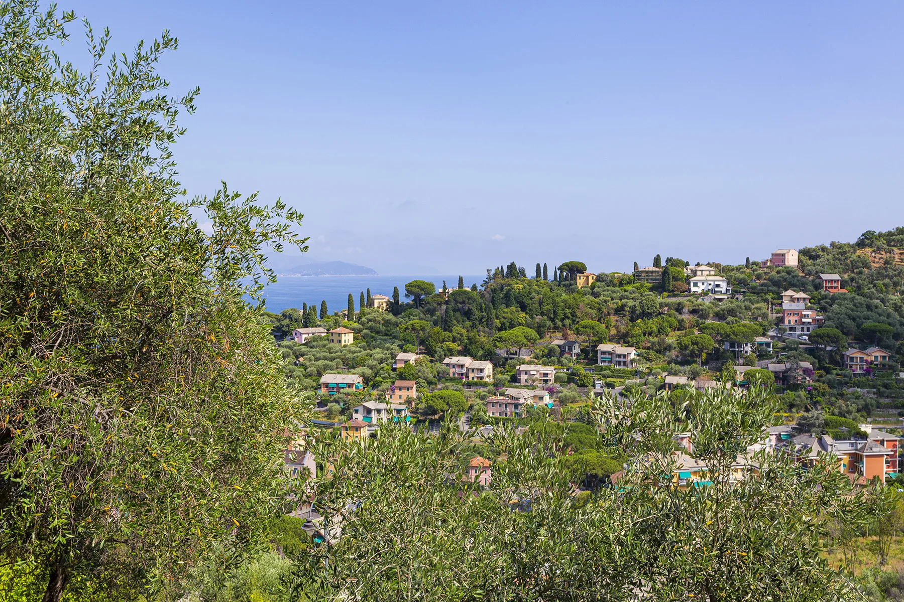 A hillside neighborhood with scattered homes and a distant sea view.