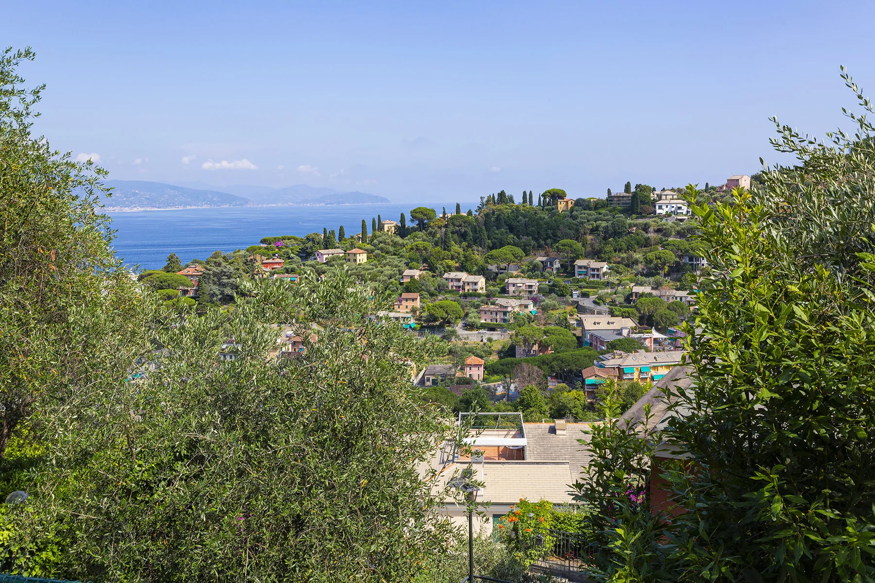 A hillside neighborhood overlooks the blue sea, with homes among green trees.