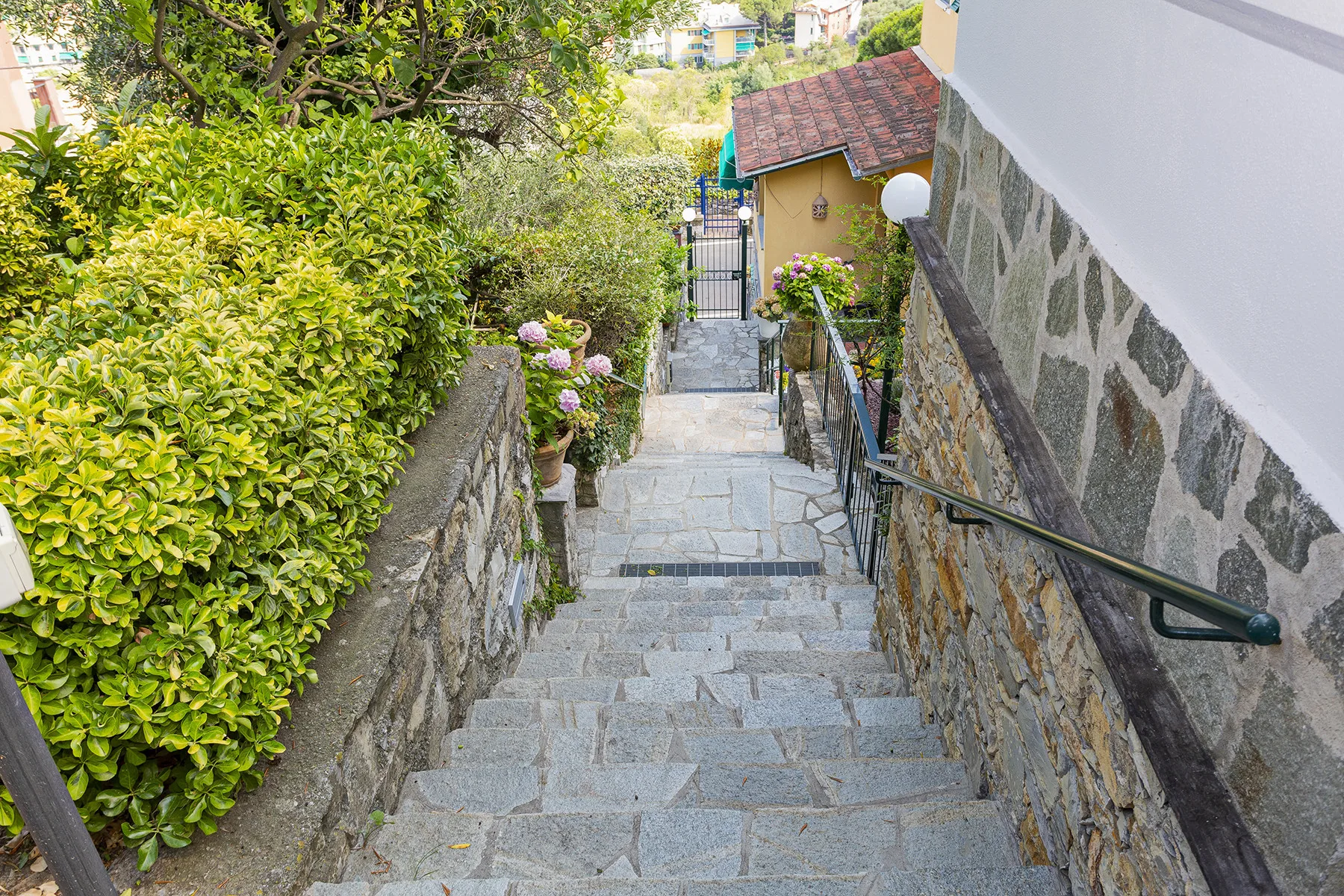 Shared amenity: Stone steps descend between stone walls and leafy garden plants.