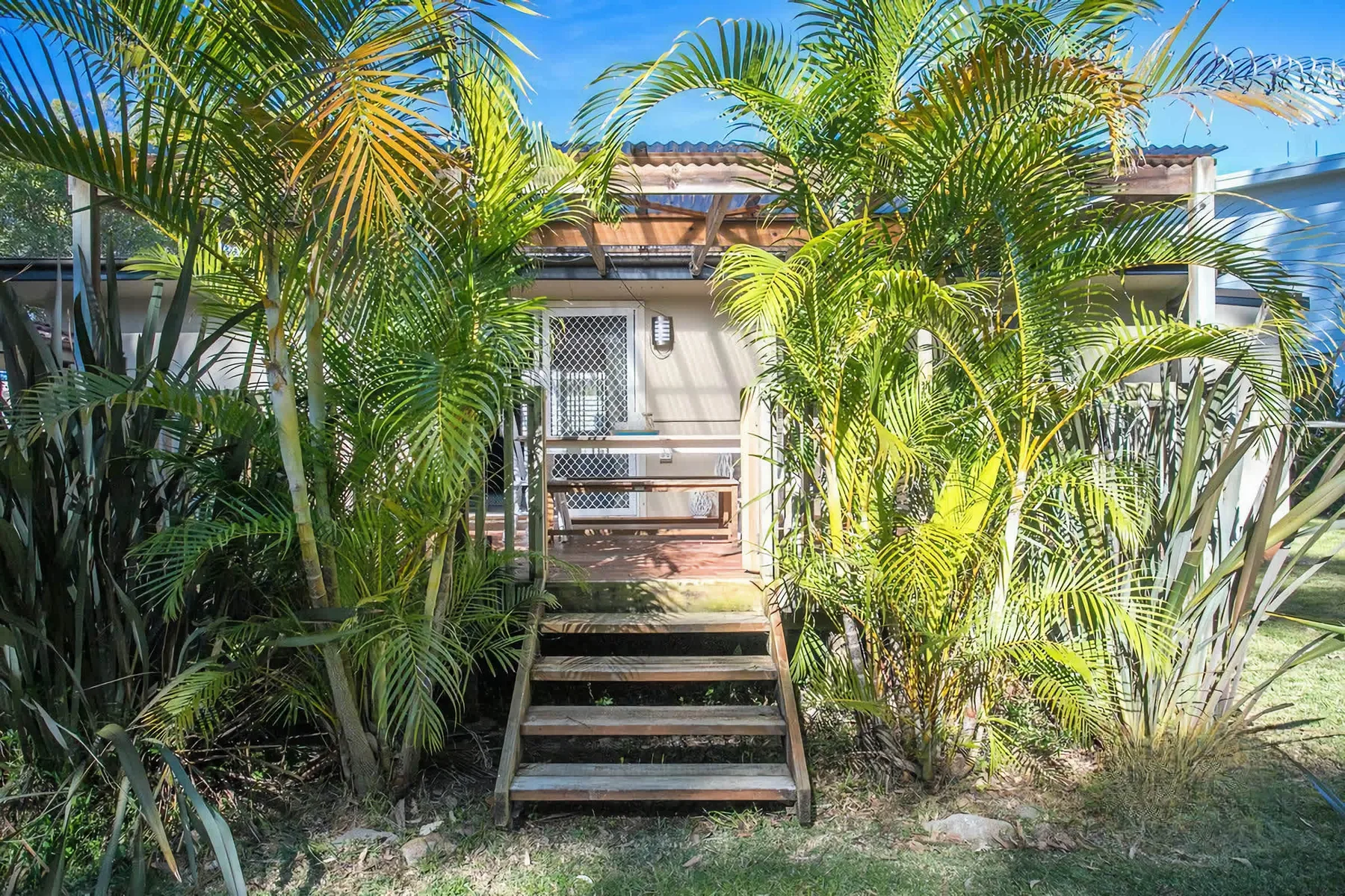 A garden path with steps leads to a house entrance, surrounded by palm plants.