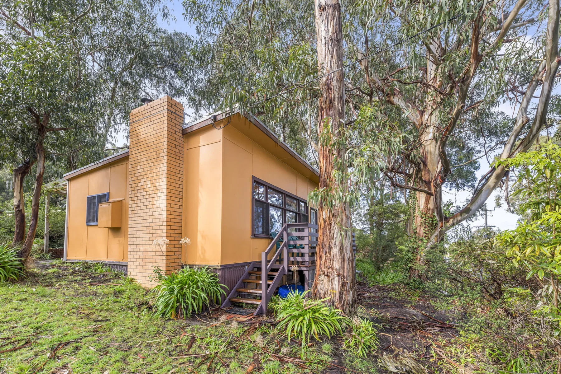 Una casa pequeña está entre árboles, con un porche de entrada elevado.