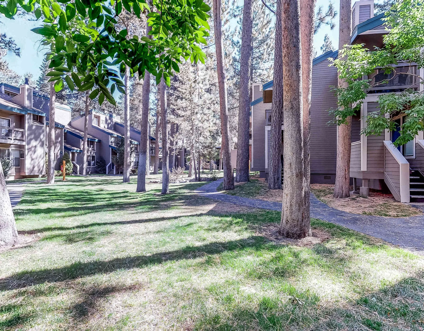 Zona común: Un patio ajardinado con árboles, césped y edificios de apartamentos.