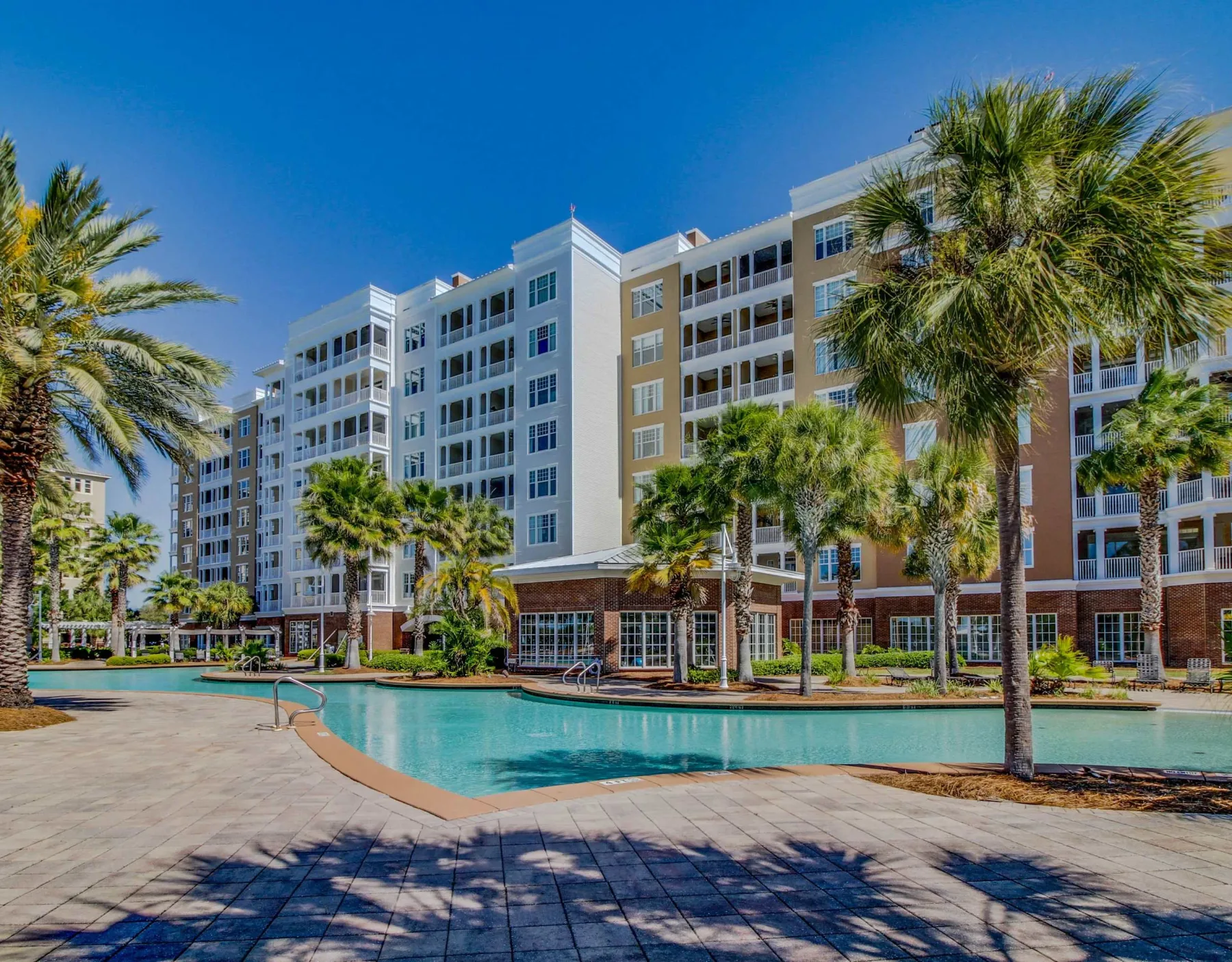 Shared amenity: An outdoor swimming pool sits in front of a multi-story building and palm trees.