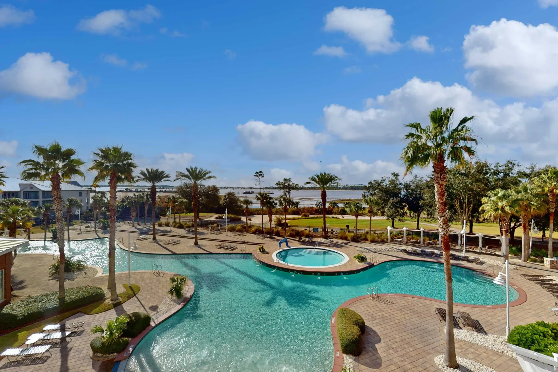 Shared amenity: A landscaped outdoor swimming pool with palm trees and curved paved edges.