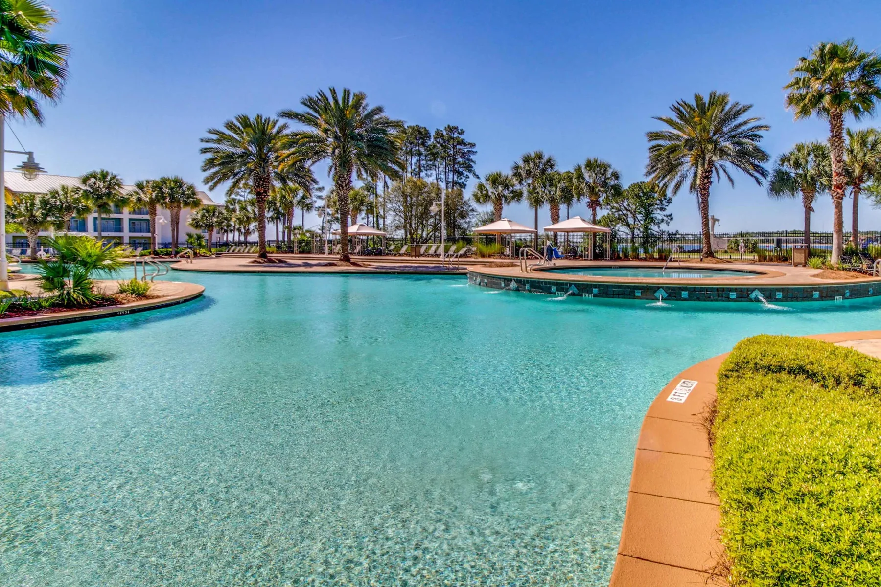 Shared amenity: A swimming pool surrounded by palm trees and landscaped greenery.