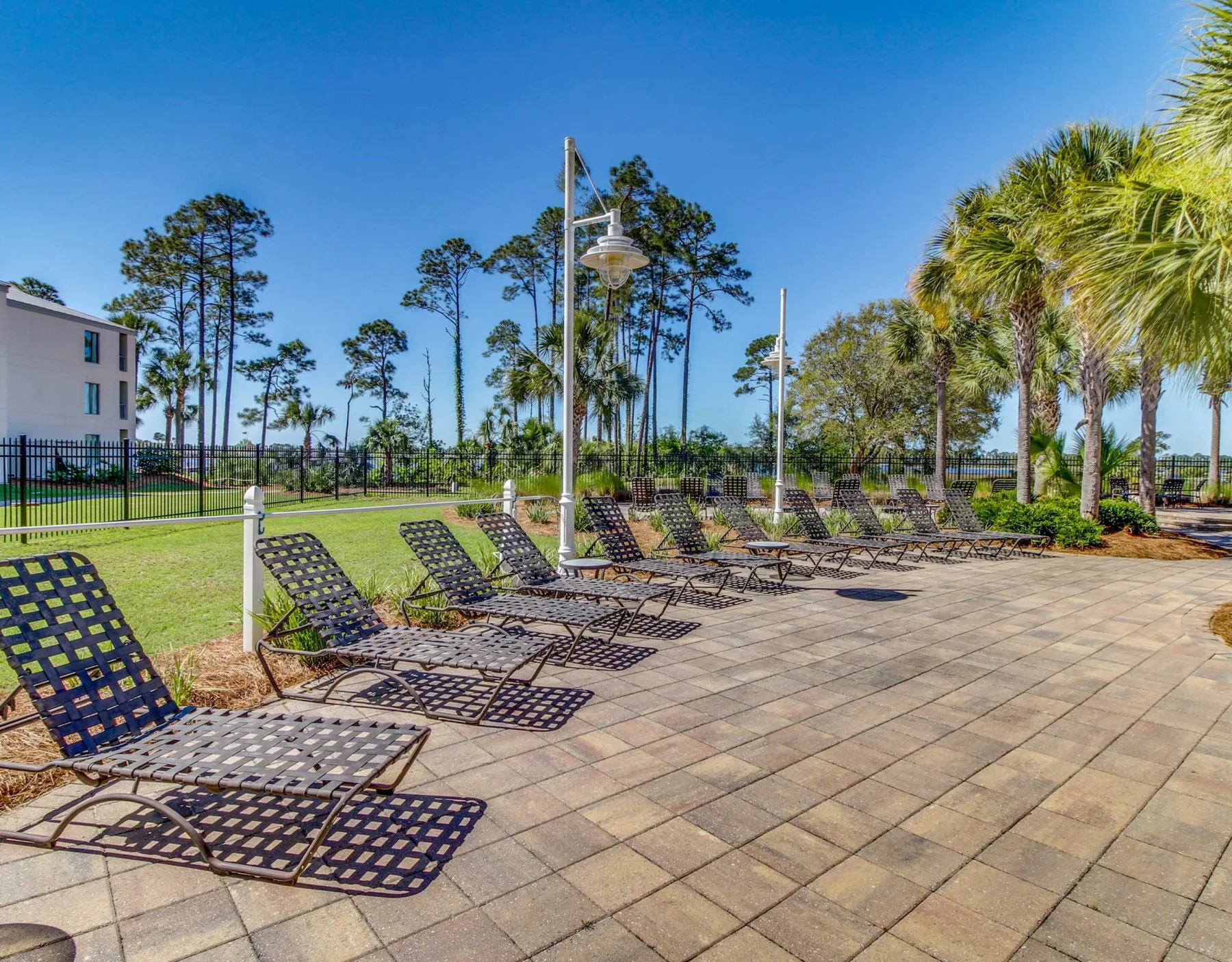 Shared amenity: Outdoor poolside patio with lounge seating and palm trees.