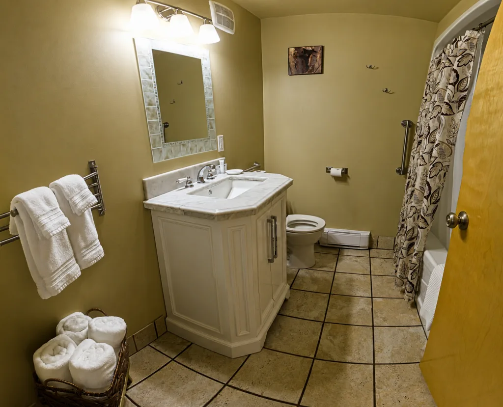 Representative hotel space: A bathroom with a vanity, mirror, toilet, and patterned shower curtain.
