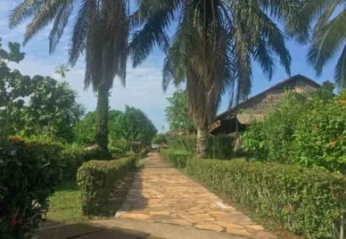 Representative hotel space: A paved garden path runs between hedges and palm trees.
