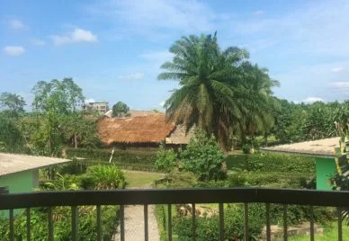 Representative hotel space: A balcony overlooks lush greenery, a palm tree, and nearby buildings.