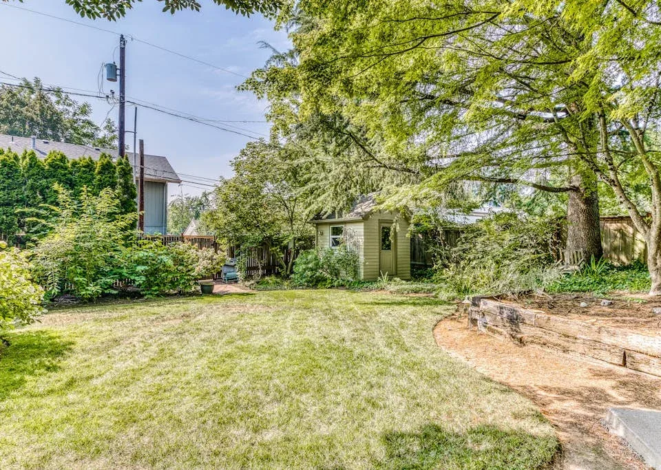 A leafy backyard with a small shed, lawn, and a raised garden bed.
