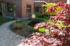 Espacio representativo del hotel: Un patio ajardinado con un sendero curvo y arbustos con flores.