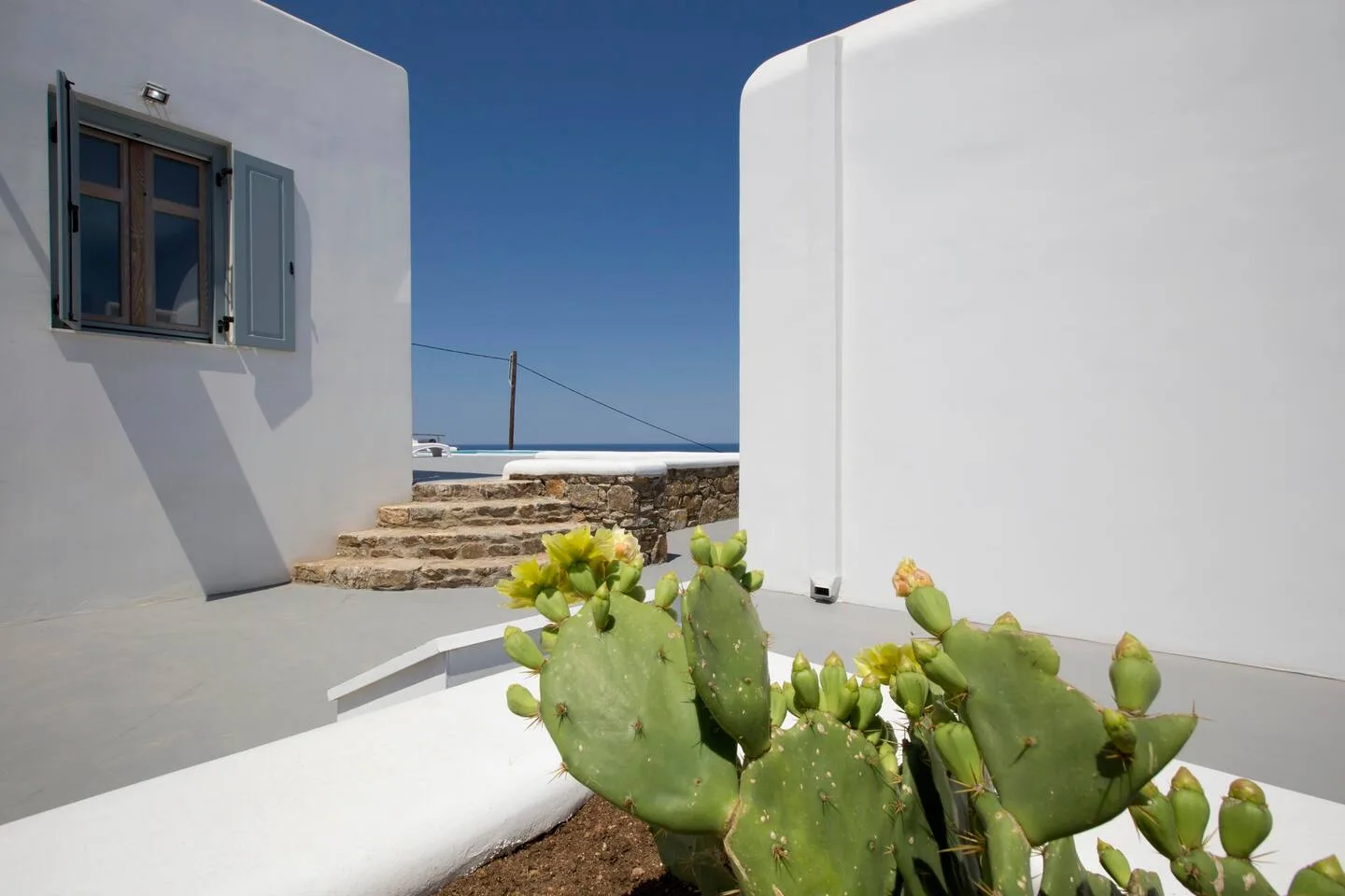 A sunlit white courtyard with a window and prickly pear cactus.