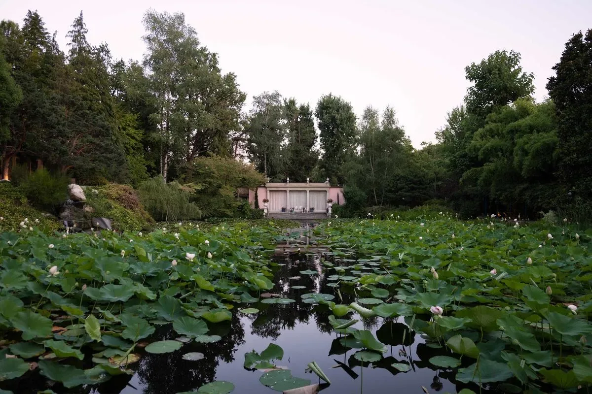 A pond covered with lily pads leads toward a small building among trees.