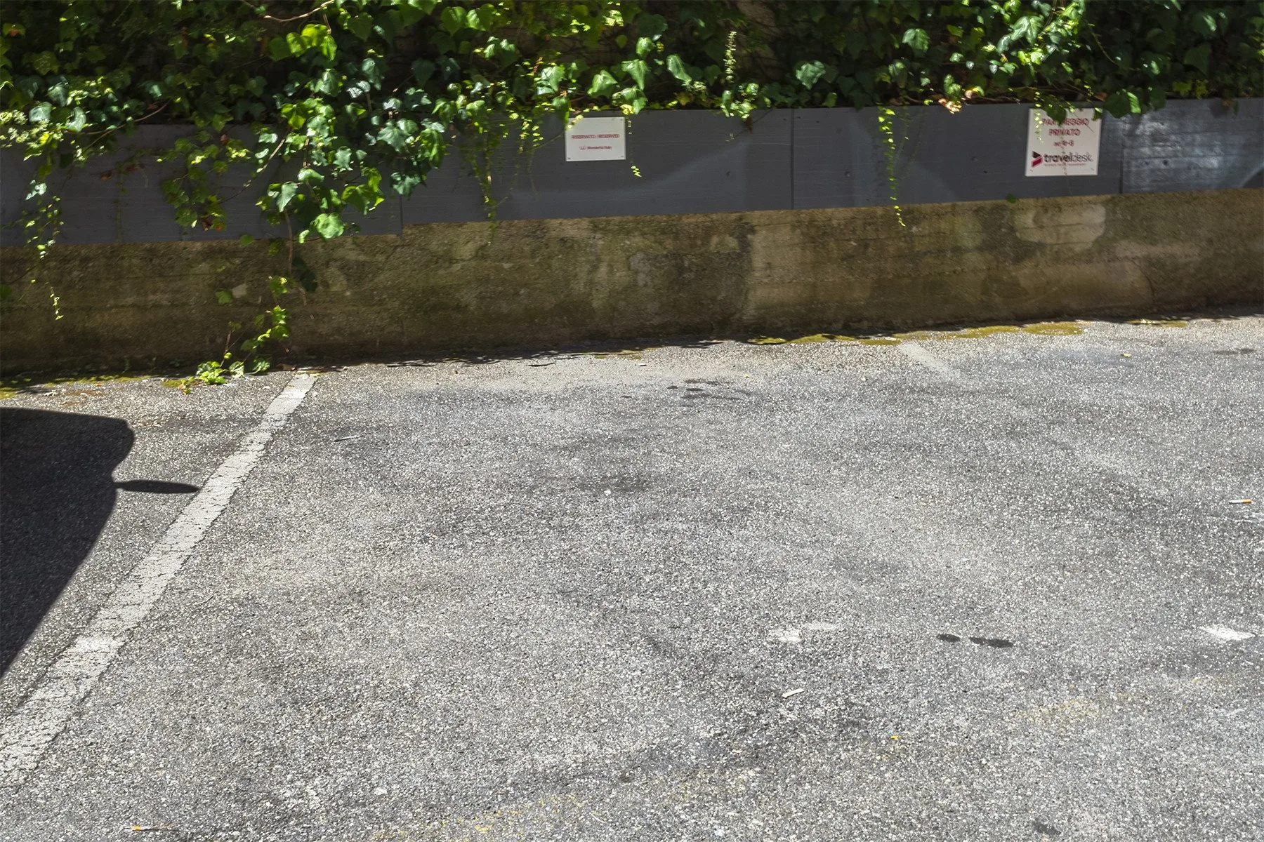 Shared amenity: An outdoor paved area beside a low wall and leafy plants.