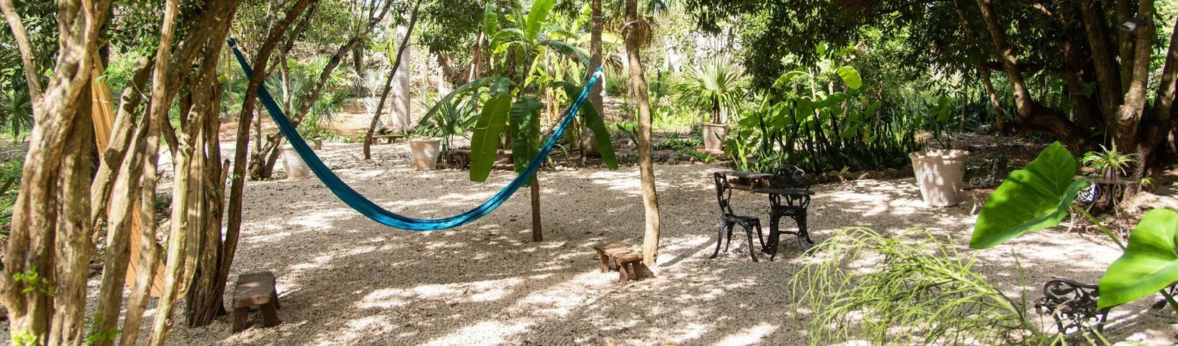 Representative hotel space: A shaded garden seating area with a hammock among the trees.