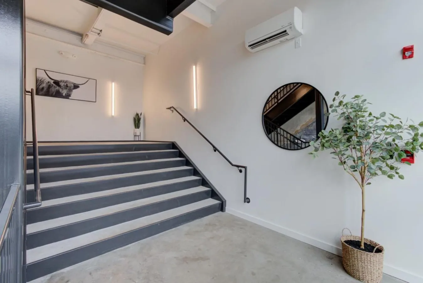 Zona común: Una escalera luminosa con un espejo redondo en la pared y un árbol en maceta.