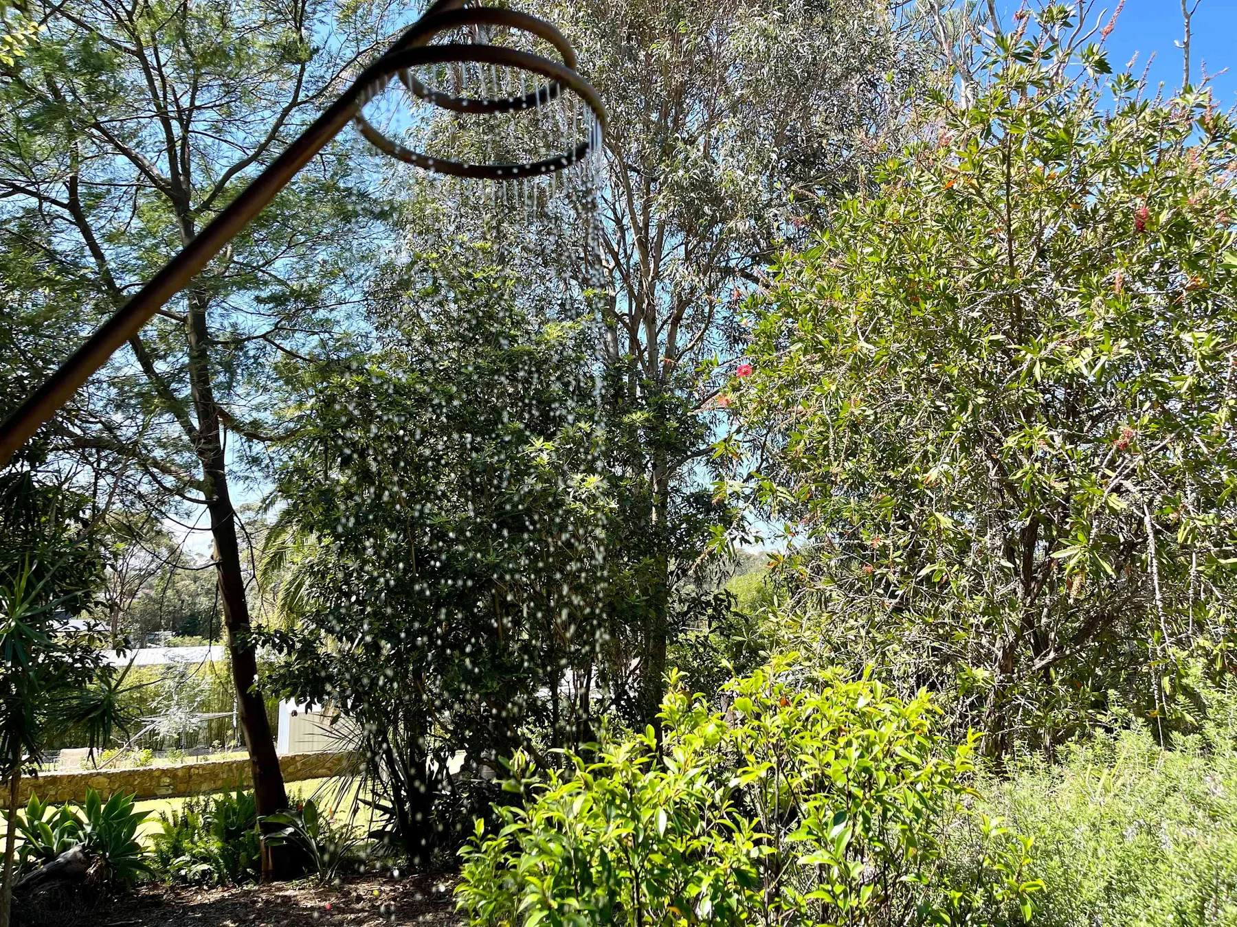 A garden with leafy shrubs and trees beneath a curved metal arch.
