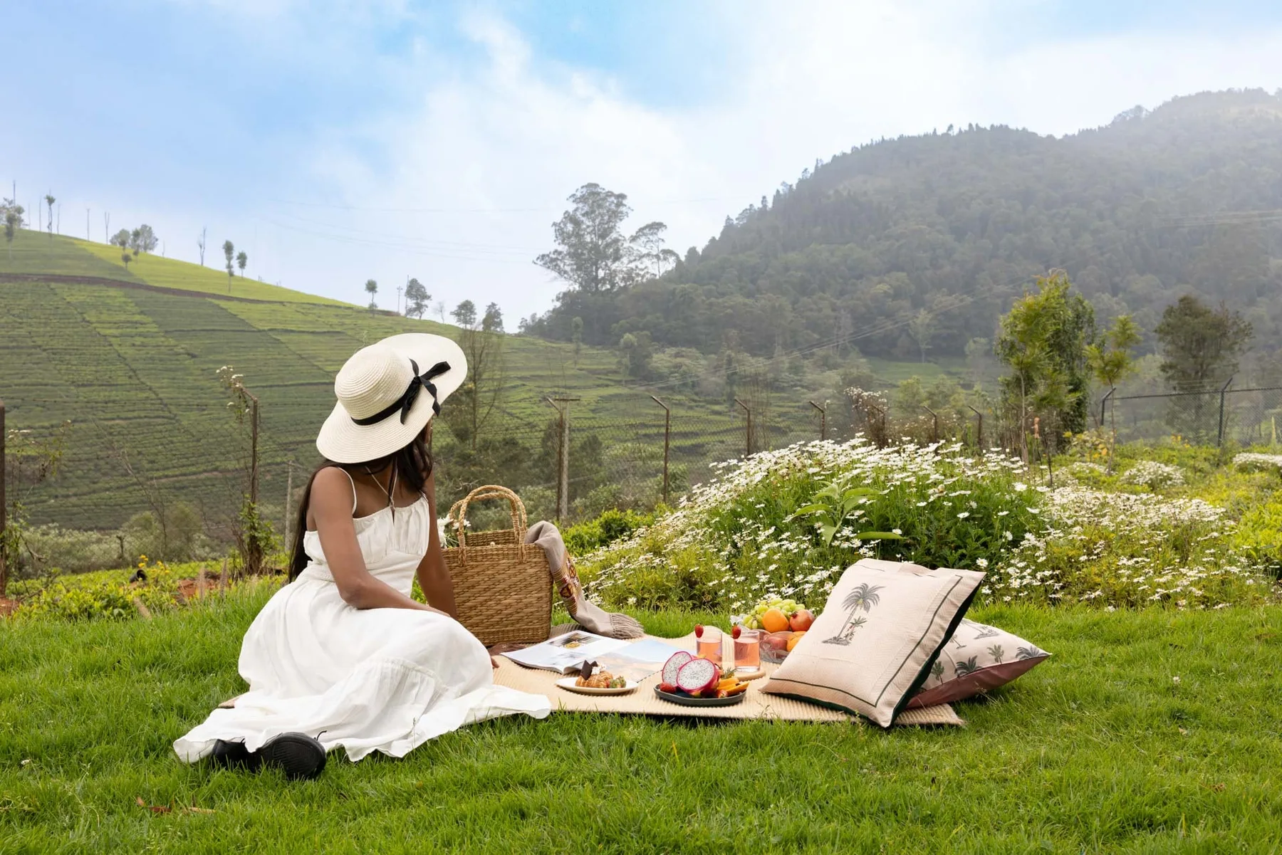 Un picnic en una ladera cubierta de hierba ofrece vistas de campos verdes y una montaña boscosa.
