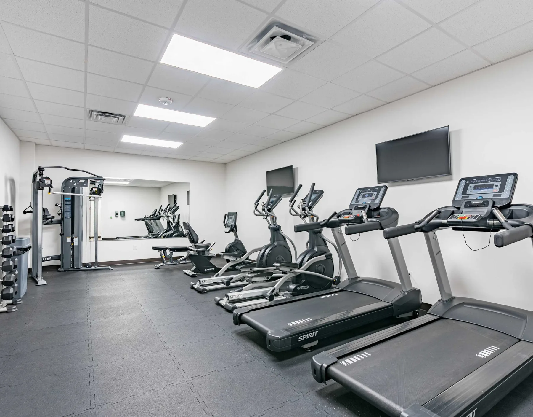 Zona común: Una sala de ejercicio con cintas de correr, máquinas elípticas y pesas.