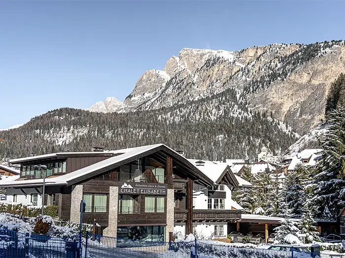 Espacio representativo del hotel: Un hotel de estilo chalet se encuentra entre árboles nevados bajo una montaña.