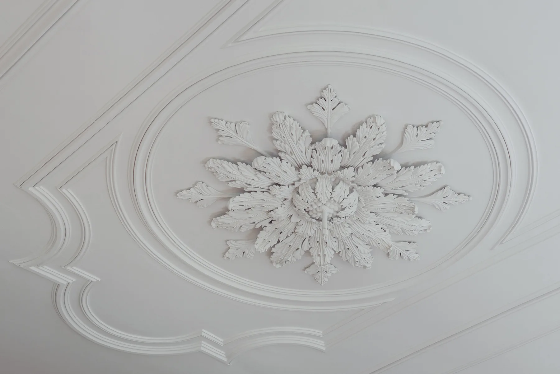Representative hotel space: A decorative ceiling medallion with raised floral detailing.