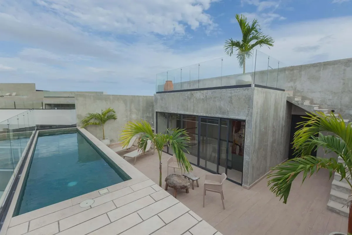 A rooftop terrace features a narrow swimming pool, concrete walls, potted palms, and sliding glass doors.