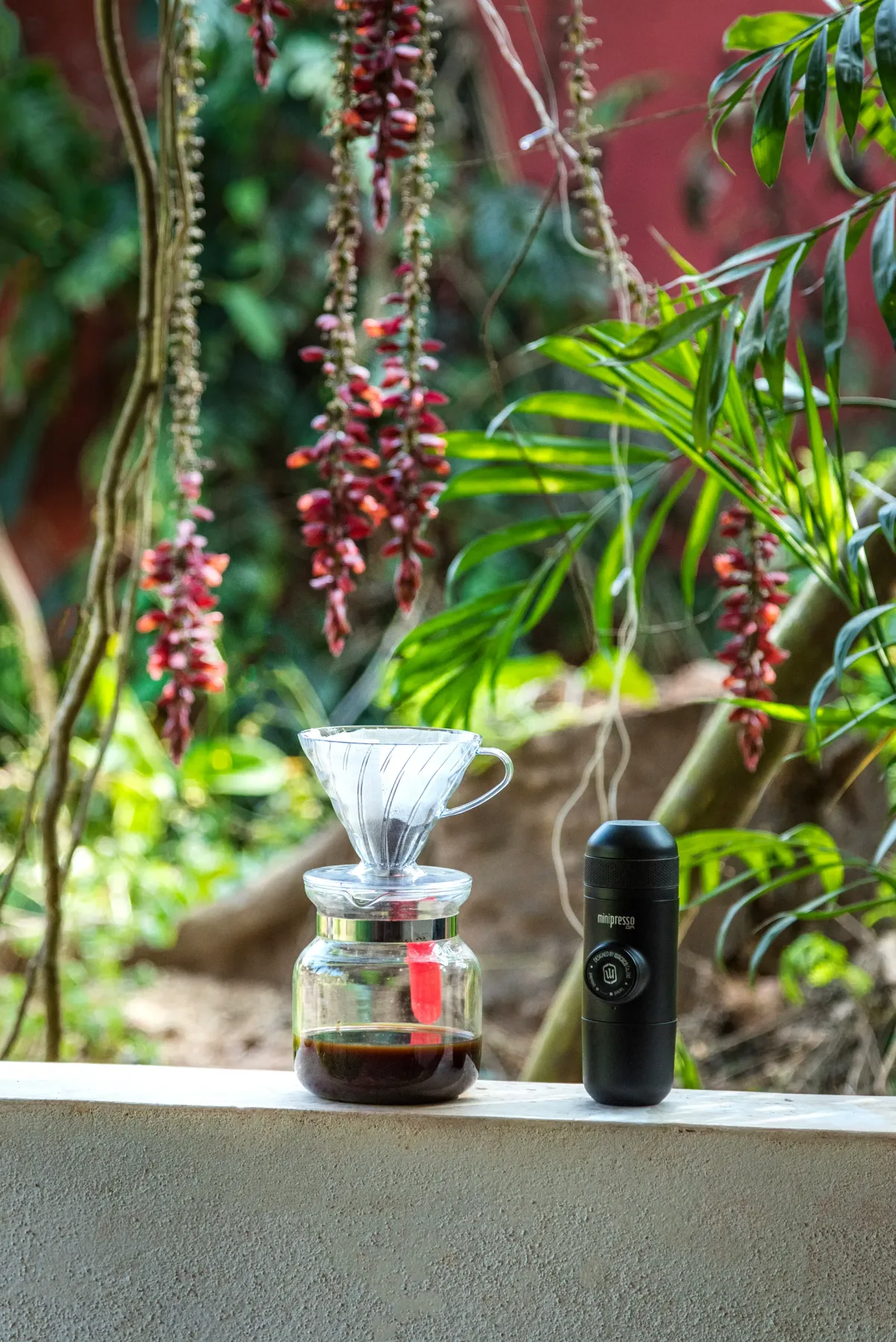 A pour-over coffee setup sits on a ledge amid leafy plants.