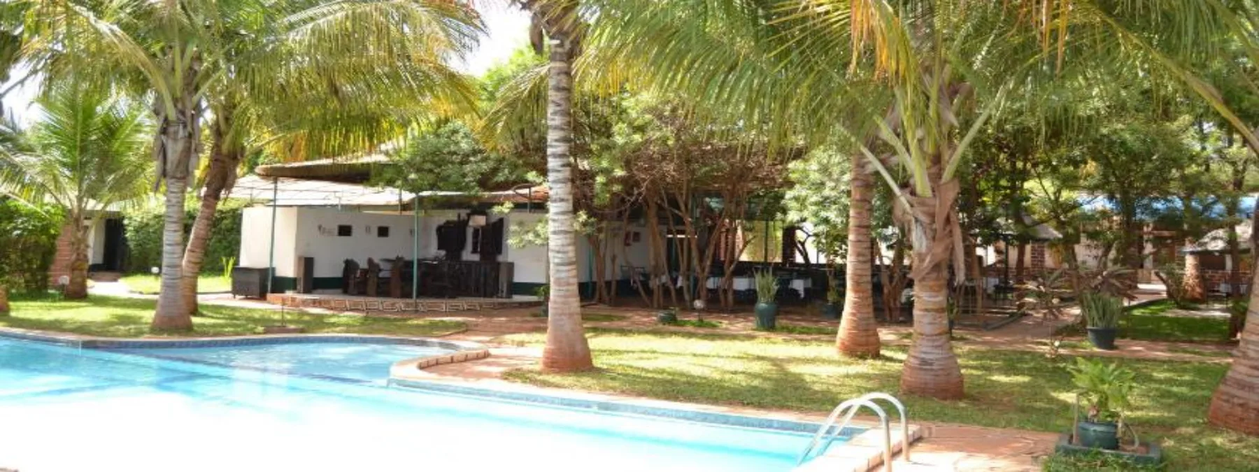 Representative hotel space: A swimming pool bordered by palm trees and outdoor seating.