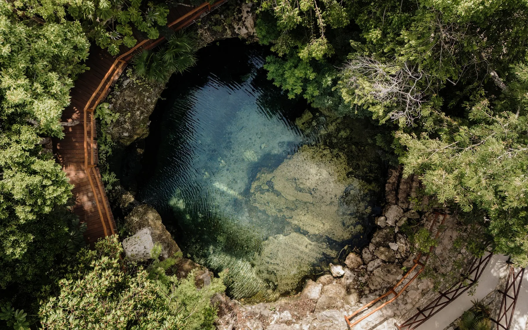 Zona común: Un manantial en el bosque, con agua clara rodeada de árboles y un sendero de madera.