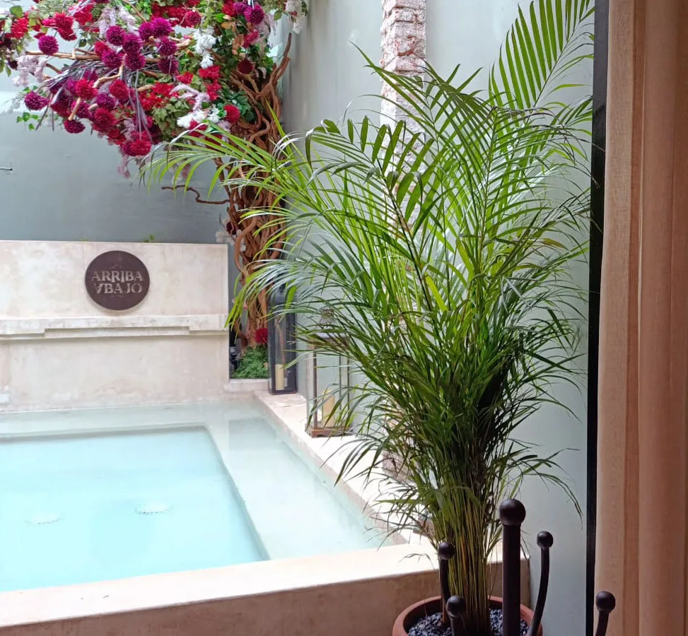 Shared amenity: A small outdoor pool sits beside leafy plants and flowering branches.