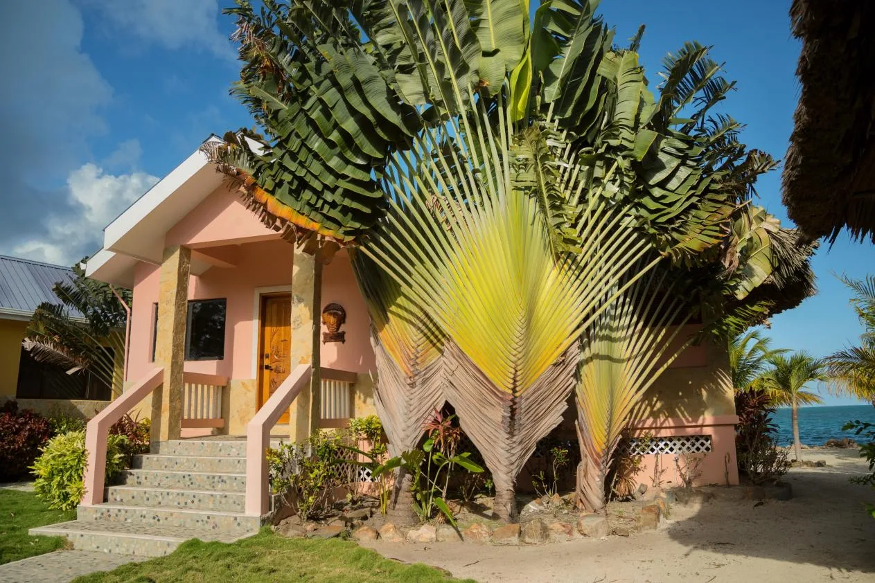 A small pink house with a covered porch sits beside tropical plants and the beach.