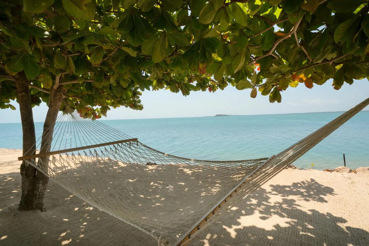 A hammock rests in the shade of leafy trees beside the sea.