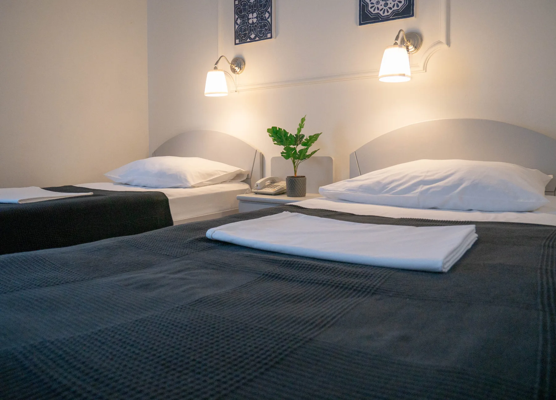 Espacio representativo del hotel: Un dormitorio con dos camas y una planta pequeña entre ellas.