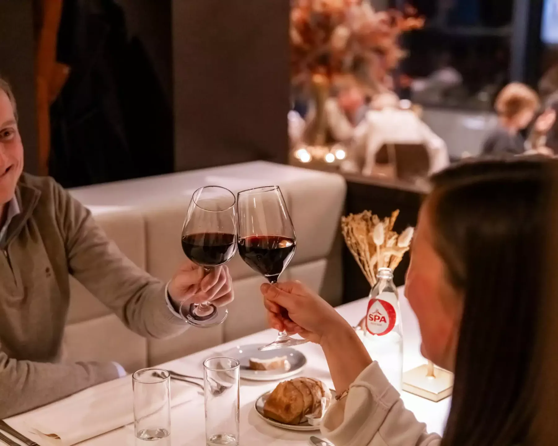 Espacio representativo del hotel: Dos comensales brindan con copas de vino tinto en una mesa de restaurante.