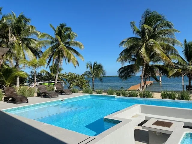 A swimming pool bordered by palm trees overlooks the sea.
