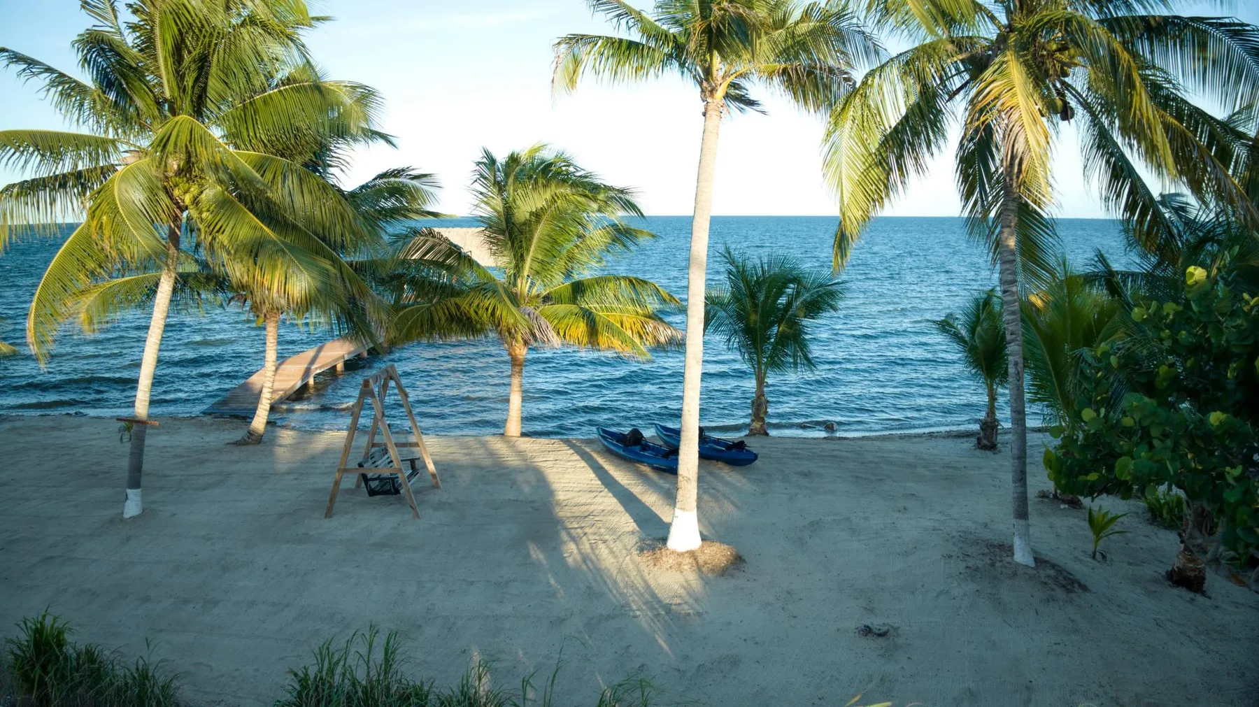 A sandy beach lined with palm trees overlooks calm blue water.