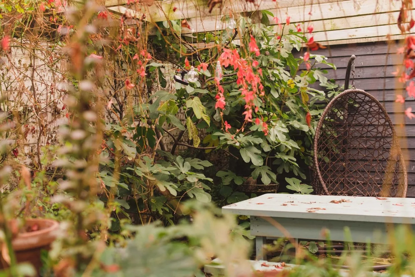 A garden seating area with a table and a woven chair among flowering plants.
