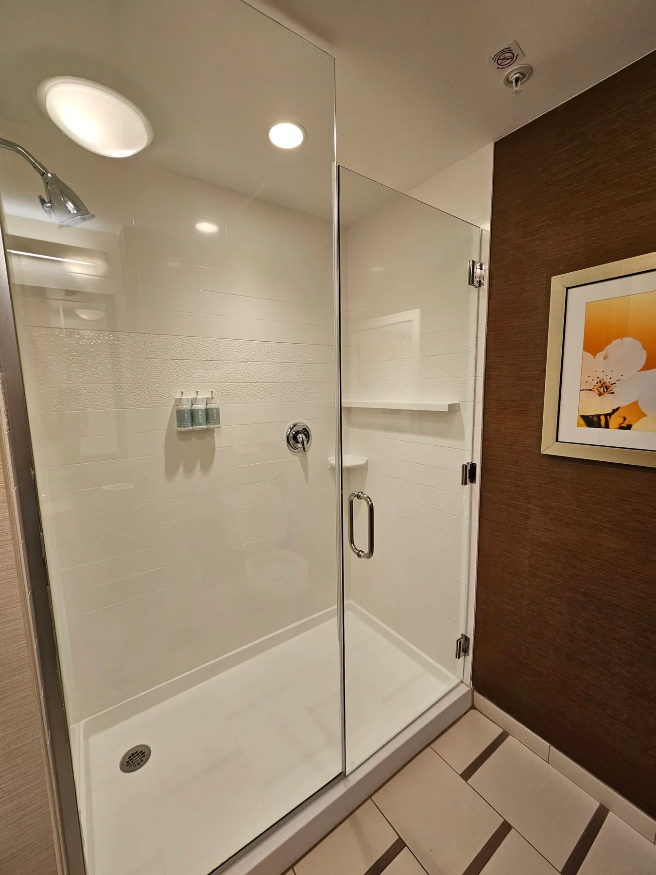 Espacio representativo del hotel: Una zona de ducha con azulejos, paneles de vidrio y un cuadro en la pared.