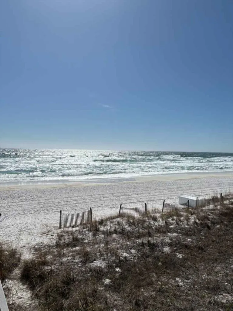 Espacio representativo del hotel: Una playa con olas del mar y una cerca baja junto a la orilla arenosa.