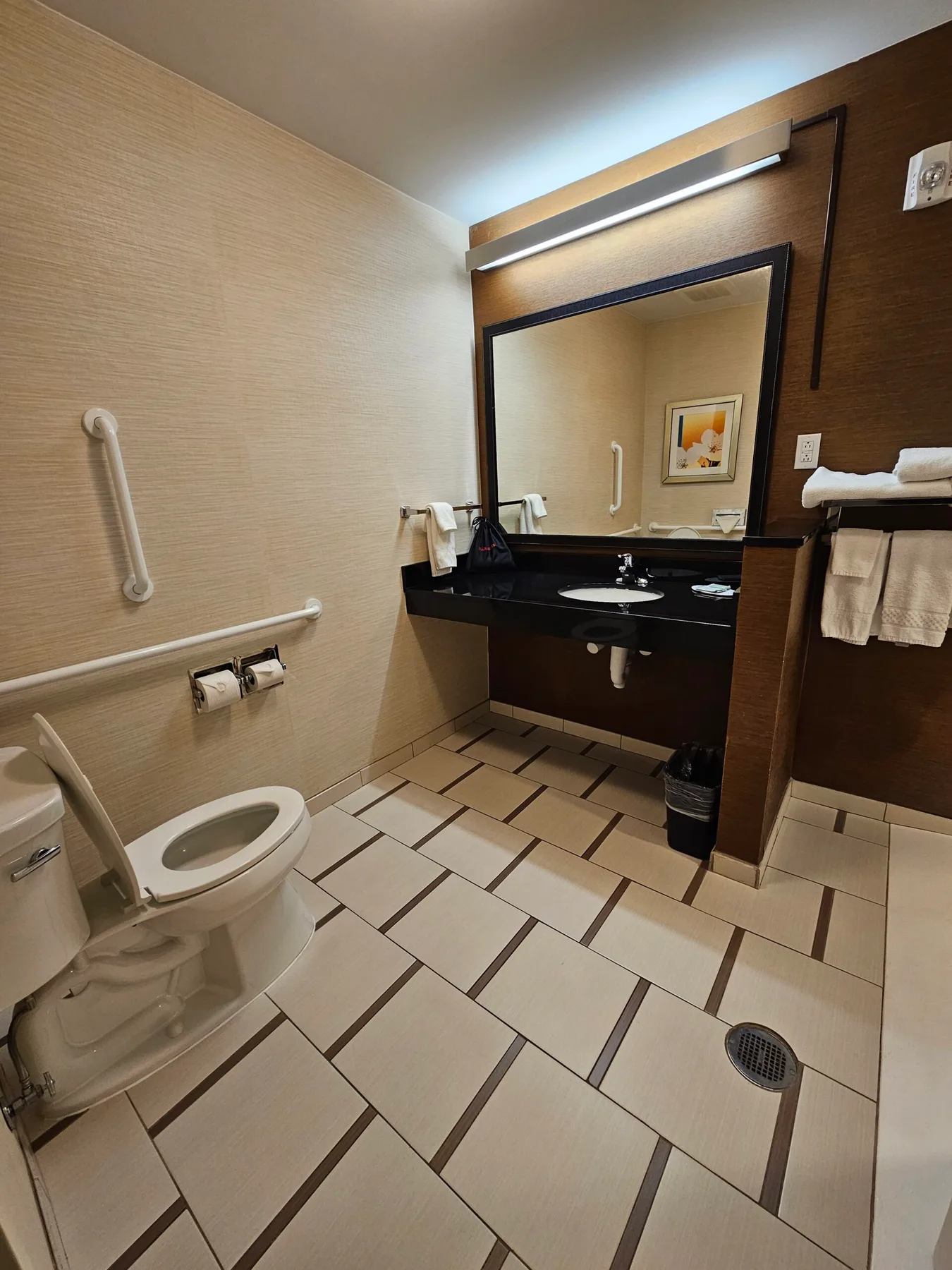 Espacio representativo del hotel: Baño con inodoro, lavabo y barras de apoyo.