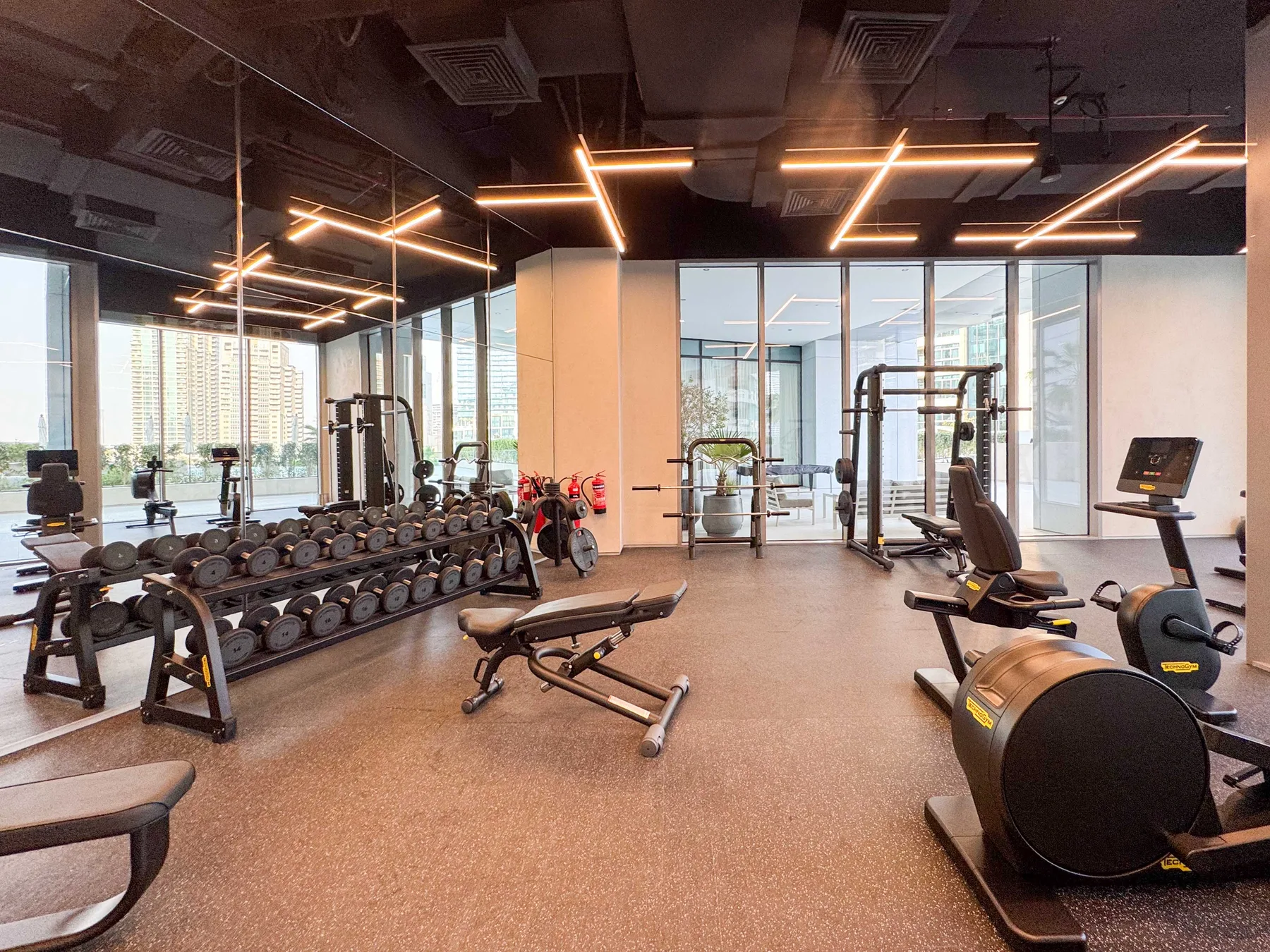 Zona común: Un gimnasio con máquinas de ejercicio y pesas junto a grandes ventanales.