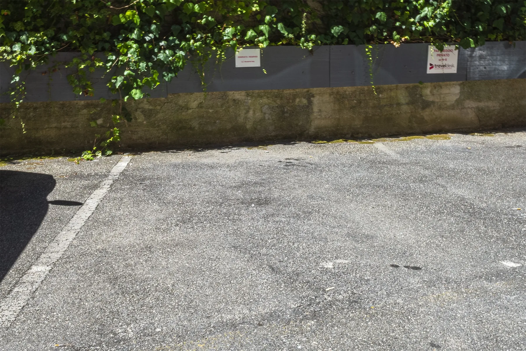 Zona común: Un área de estacionamiento pavimentada junto a un muro bajo y enredaderas frondosas.